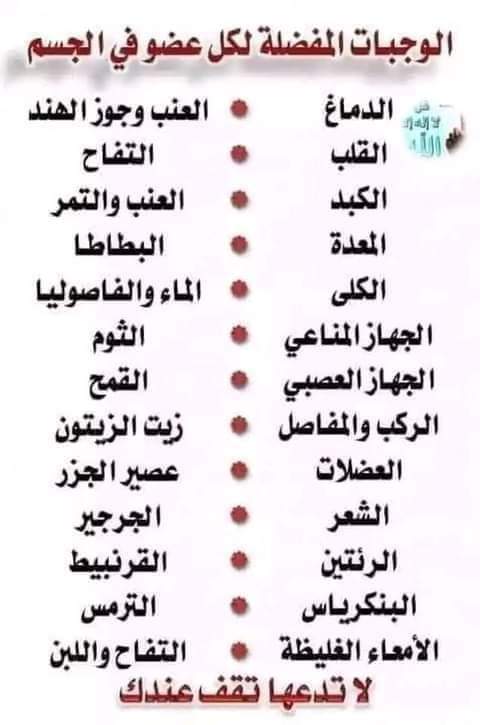 الوجبات المفضلة لكل عضو في الجسم 